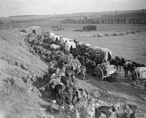 Cavalry Regiments - The Long, Long Trail