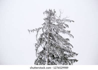 Polar vortex Images, Stock Photos & Vectors | Shutterstock