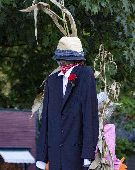 Fashionable Scarecrow Free Stock Photo - Public Domain Pictures