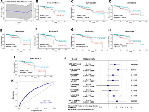 Frontiers Prediction Of Clinical Outcome In Endometrial Carcinoma