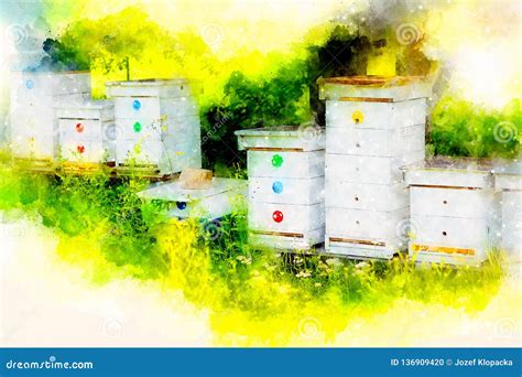 Colmenas Blancas De Abejas En El Colmenar Y El Fondo Suavemente Borroso