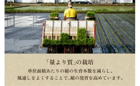 【令和5年産新米】新潟県加茂市産 特別栽培米コシヒカリ 精米10kg（5kg×2）白米 従来品種コシヒカリ 加茂有機米生産組合 新潟県加茂