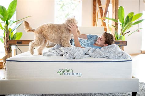 My Green Mattress - Certified Organic Mattresses