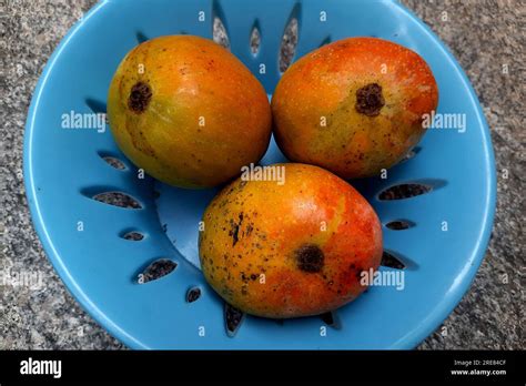 mango  res stock photography  images alamy