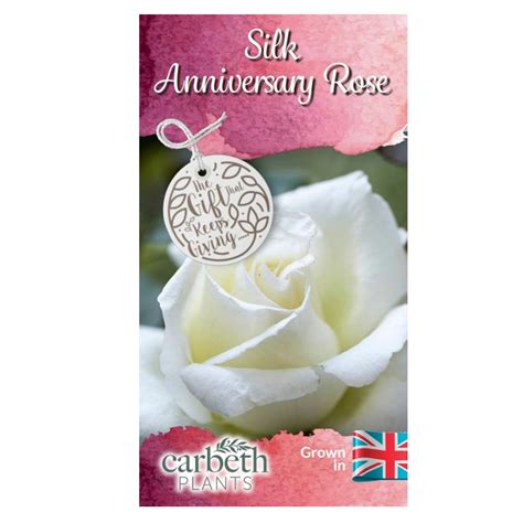 Silk Th Wedding Anniversary Rose Bush Gift Wrapped Carbeth Plants