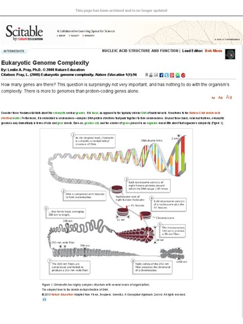 Eukaryotic Genome Complexity Learn Science At Scitable Pdf