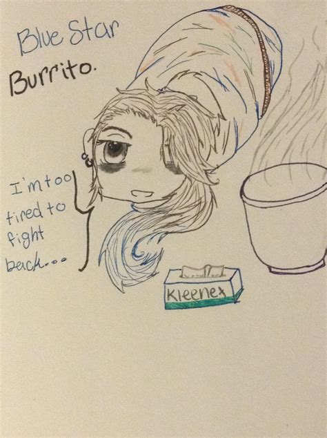 Burrito blanket by Kassiebluestar on DeviantArt