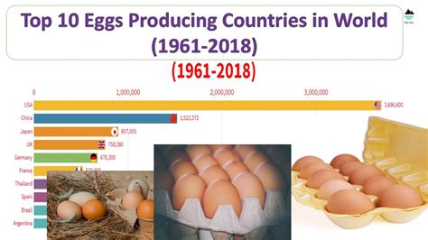 Top Eggs Producing Countries In World Racing Bar Graph Youtube