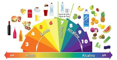 Cómo los alimentos influyen en nuestro equilibrio ácido base