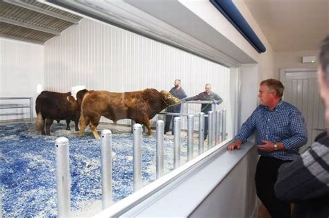 Look Take A Peek Inside The Genus Bull Stud In Ruthin North Wales Live