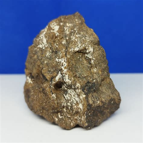 Xl Chondrite Of Enstatite Coming From The Orbit Of Mercury