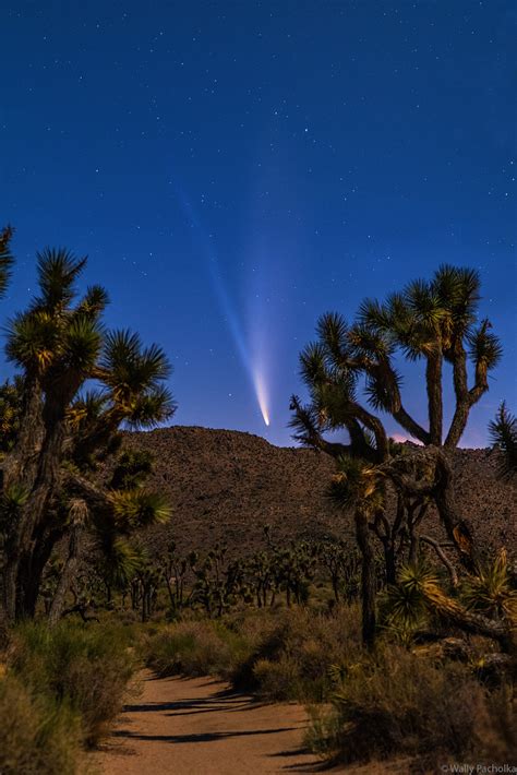 Comet Neowise Road Trip - 10 Locations in 10 Days | Wally Pacholka Photography - Astropics