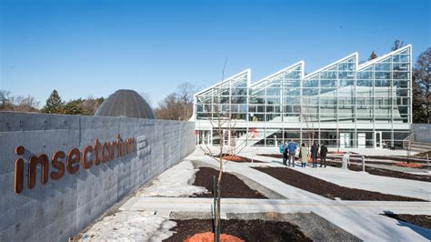 En Images Linsectarium De Montréal Inauguré Tva Nouvelles