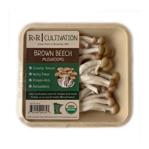 Randr Cultivation Organic Brown Beech Mushrooms Lunds And Byerlys