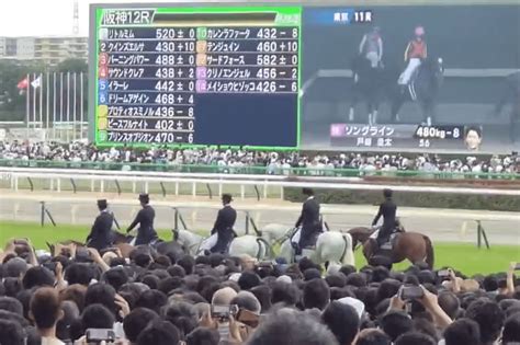 写真 東京競馬場の誘導馬が拍手で驚く姿に注目集まる 競馬ファンからは「貴重な動画」との声 Limo くらしとお金の経済メディア