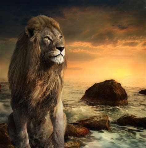 Lion Of Judah Wallpapers - WallpaperSafari Lion Wallpaper, Jesus Wallpaper, Animals Images ...