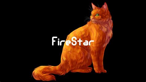 Top Ten Most Popular Warrior Cats