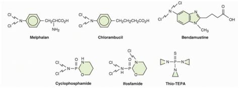 Alkylating Agents | Oncohema Key