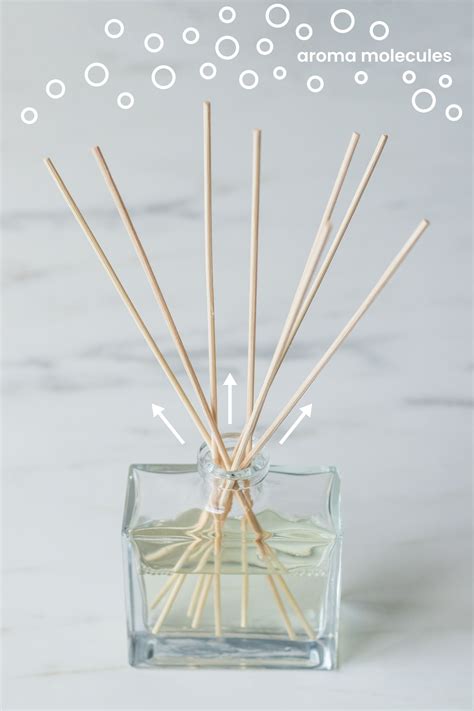 How To Make Reed Diffusers CandleScience