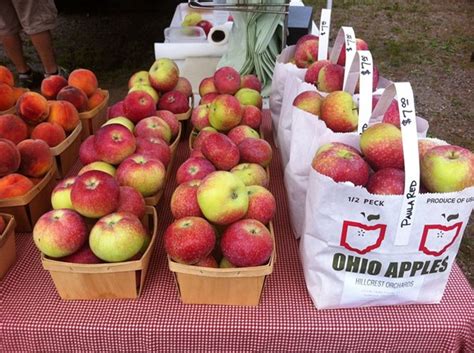 26 Pick Your Own Apple Orchards Near Cleveland To Check Out This Fall