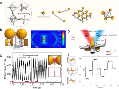 A Schematic Illustration Of The Programmable Directional Assembly Of