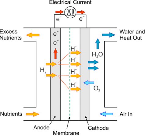 Schematic Of A Benthic Microbial Fuel Cell After Office Of Energy Download Scientific Diagram