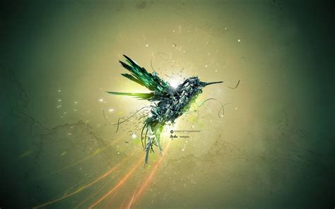 Hummingbird wallpaper | 1280x800 | #40166