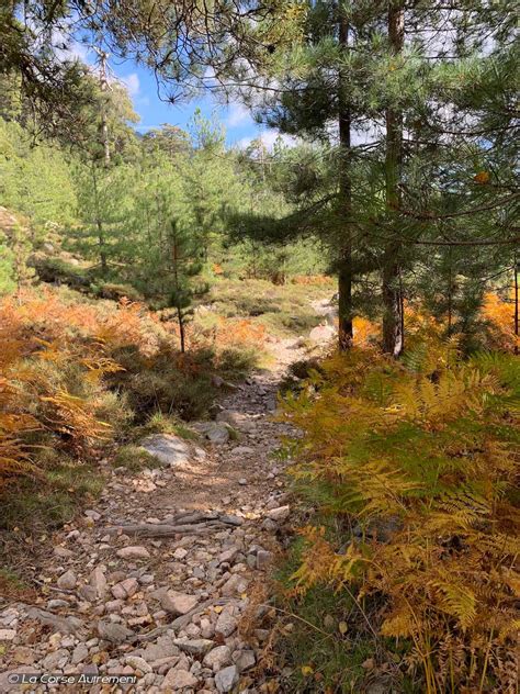 Les Bergeries Et Les Cascades De Radule En Corse