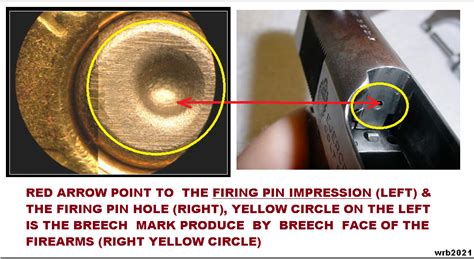 Protected Forensic Ballistics → Module 4 Forensic Examination And Firearms Evidence Wilber