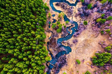 Aerial Landscape Of Winding River In Green Field Top View Of Beautiful