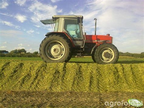 Foto Ciagnik Massey Ferguson 3085 Id 336411 Galeria Rolnicza Agrofoto