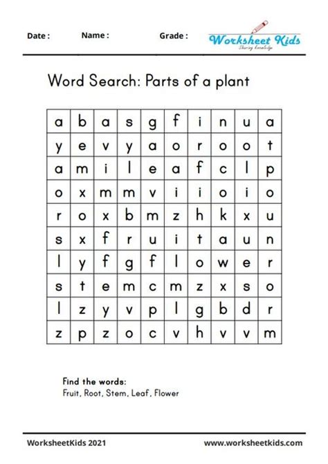 Parts Of A Plant And Its Functions Worksheets Free Printable Pdf Artofit