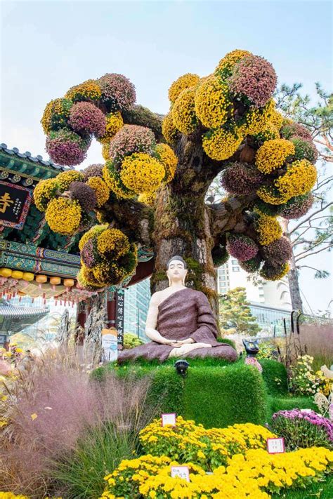 Jogyesa Temple in Seoul, South Korea | Busanpedia