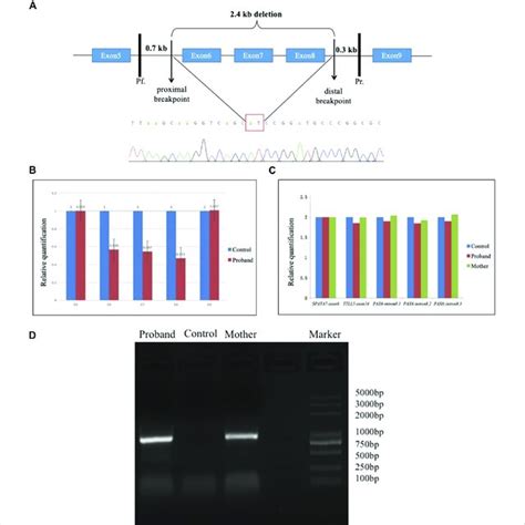 Long Range PCR And Sequence Analysis A Schematic Diagram