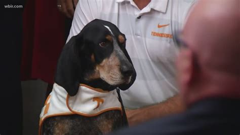 It's official! Gov. Bill Lee signs Smokey in as Tennessee's state dog | wbir.com