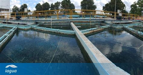 Estadísticas De La Potabilización Del Agua En México Iagua