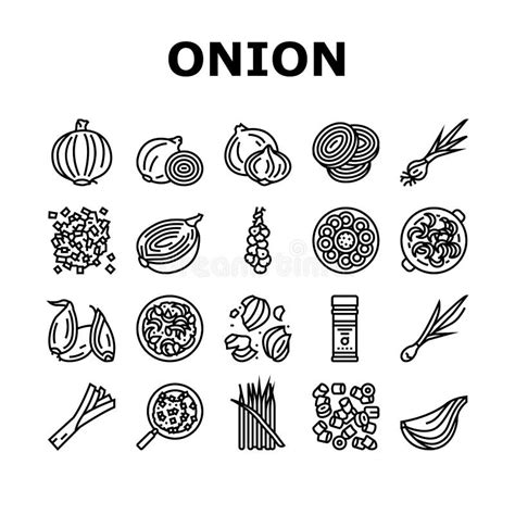 Onion Fresh Vitamin Vegetable Icons Set Vector Stock Vector