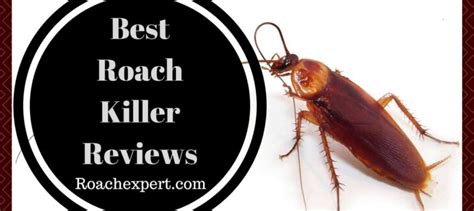 5 Best Roach Killer Reviews: Poison Gel Baits, Sticky Glue, Spray, Acid ...