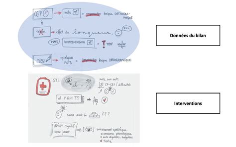 Prise en soin dans les TSLE mise en œuvre des recommandations guides