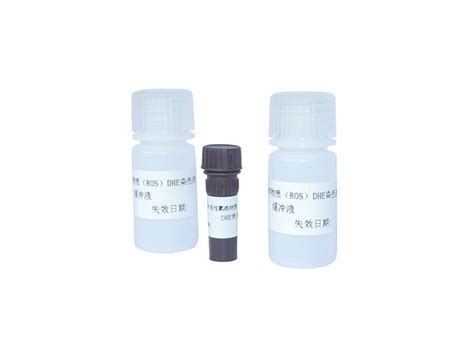 Sperm Reactive Oxygen Species Dhe Staining Kit For Ros Flow Cytometry