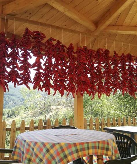 Agriturismo La Garavina Mangiare E Dormire In Agriturismo Pollino