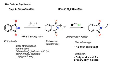 Gabriel Synthesis Reaction Mechanism Alkyl Halide To Primary Amines | Hot Sex Picture