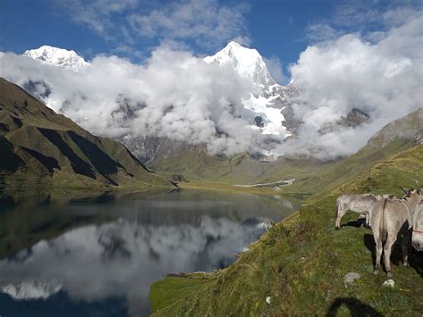 徒步旅行Huayhuash 科迪勒拉Huayhuash 秘鲁徒步旅行 Pixabay上的免费照片 Pixabay