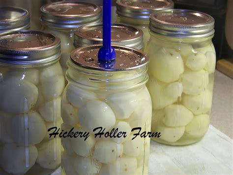 Hickery Holler Farm Canning New Potatoes