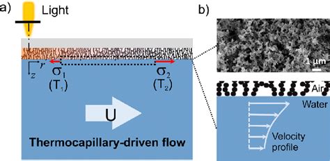 Concept Of Optothermally Induced Thermocapillary Flow In A Liquid In