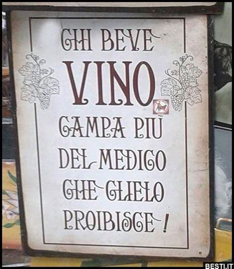 Chi Beve Vino Frasi Divertenti Sul Vino Immagini Divertenti Citazioni