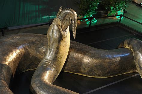 Titanoboa As Era La Serpiente Gigante De Metros De Largo Y Una