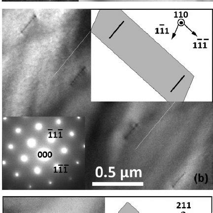 TEM Bright Field BF Micrograph Of A Section Of The Dislocation Array