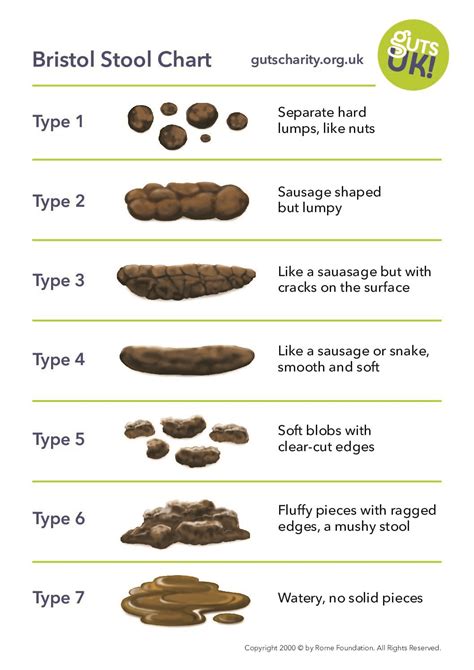 Customized Cute Bristol Stool Chart Digital Pdf Printable Lab New 25220 The Best Porn Website