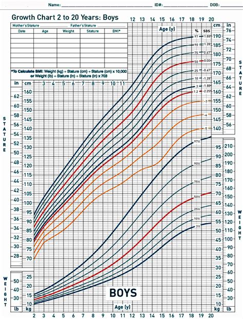 What Is The Normal Height For Year Old Boy At George Heinrich Blog